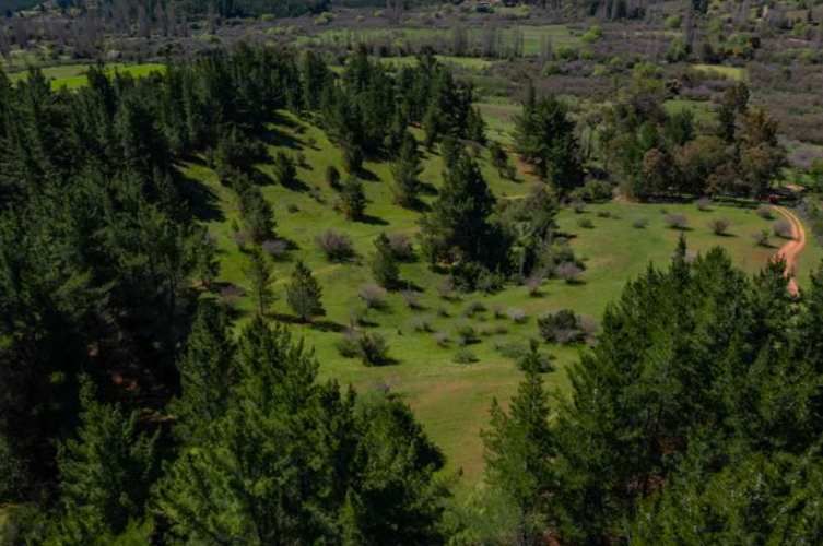 Acogedor Hermoso y Excelente Oportunidad de Inversión Terreno en Cauquenes