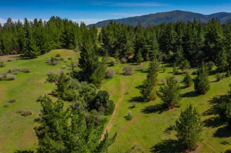 Acogedor Hermoso y Excelente Oportunidad de Inversión Terreno en Cauquenes