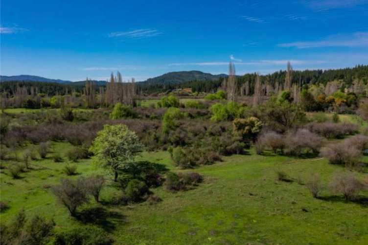 Acogedor Hermoso y Excelente Oportunidad de Inversión Terreno en Cauquenes