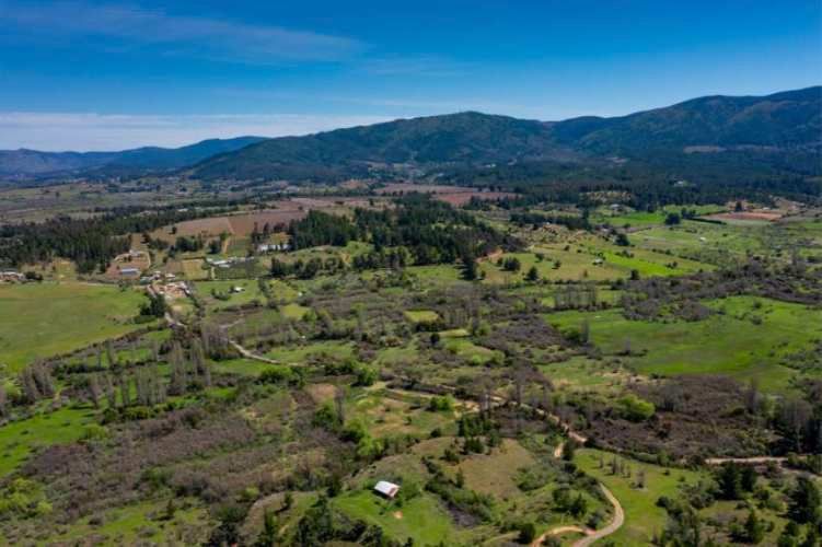 Acogedor Hermoso y Excelente Oportunidad de Inversión Terreno en Cauquenes