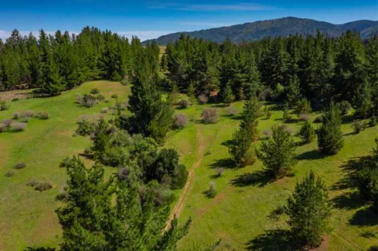 Acogedor Hermoso y Excelente Oportunidad de Inversión Terreno en Cauquenes