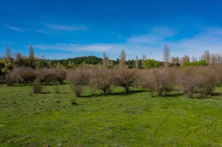 Acogedor Hermoso y Excelente Oportunidad de Inversión Terreno en Cauquenes