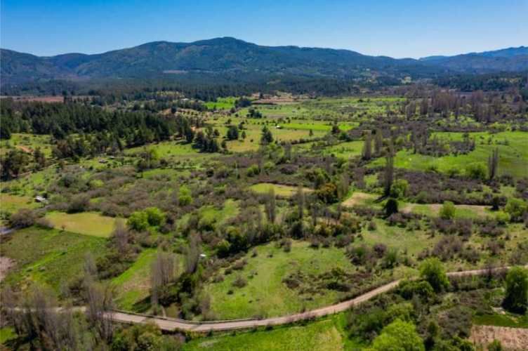 Acogedor Hermoso y Excelente Oportunidad de Inversión Terreno en Cauquenes