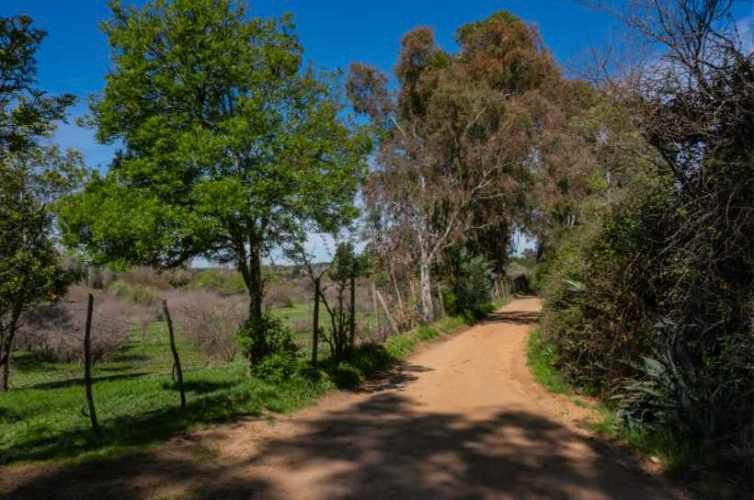 Acogedor Hermoso y Excelente Oportunidad de Inversión Terreno en Cauquenes
