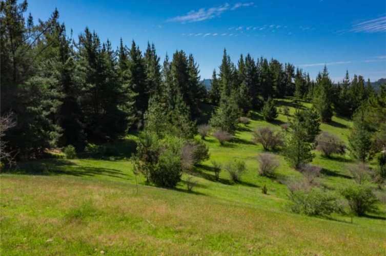 Acogedor Hermoso y Excelente Oportunidad de Inversión Terreno en Cauquenes