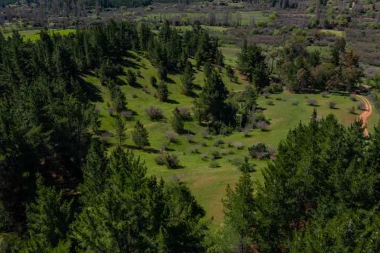 Acogedor Hermoso y Excelente Oportunidad de Inversión Terreno en Cauquenes