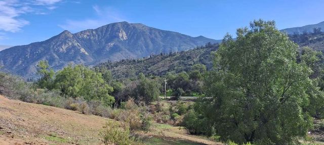 Vende tres hectáreas y media en Las Palmas de Olmué