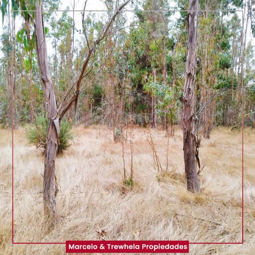 VENDO TERRENO INDIGENA, 3.3 HECTAREAS, COMUNA DE NUEVA IMPERIAL. CODIGO #1011