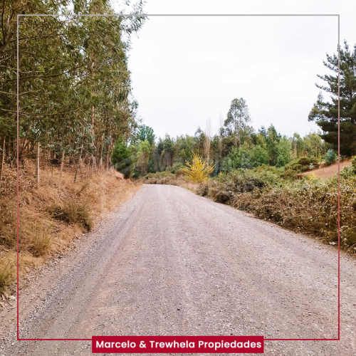 VENDO TERRENO INDIGENA, 3.3 HECTAREAS, COMUNA DE NUEVA IMPERIAL. CODIGO #1011