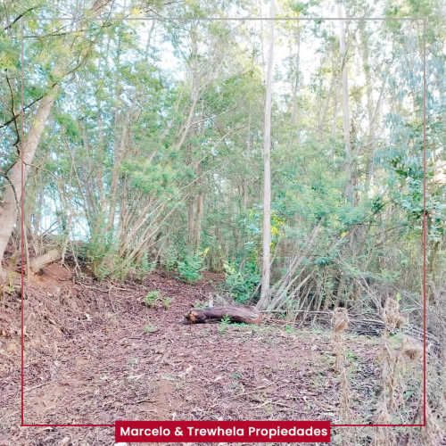 VENDO TERRENO INDIGENA, 3.3 HECTAREAS, COMUNA DE NUEVA IMPERIAL. CODIGO #1011