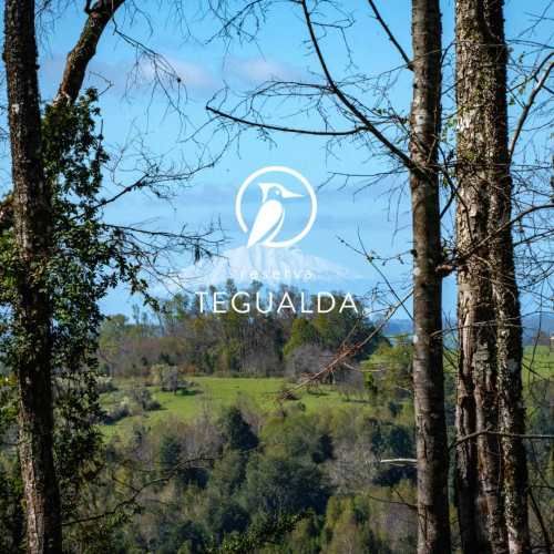 Reserva Tegualda