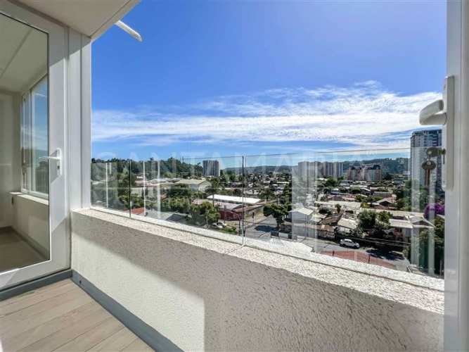 DEPARTAMENTO Las Heras, Concepción