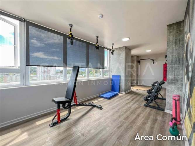 DEPARTAMENTO Las Heras, Concepción