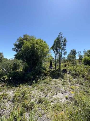 hermosa parcela en Fresia  (76488)