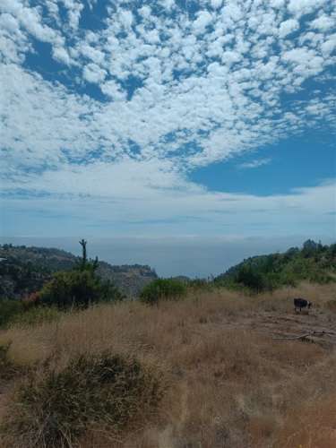 SITIO Condominio Los Arcos