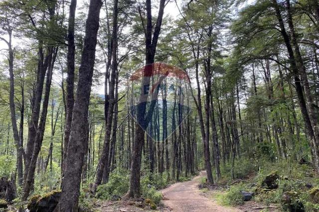 Parcela en venta en rinconada de pucón, curarrehue