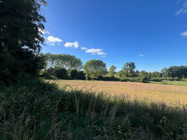 Vendo Parcela De Agrado En Sector Vivanco, Lago Ranco