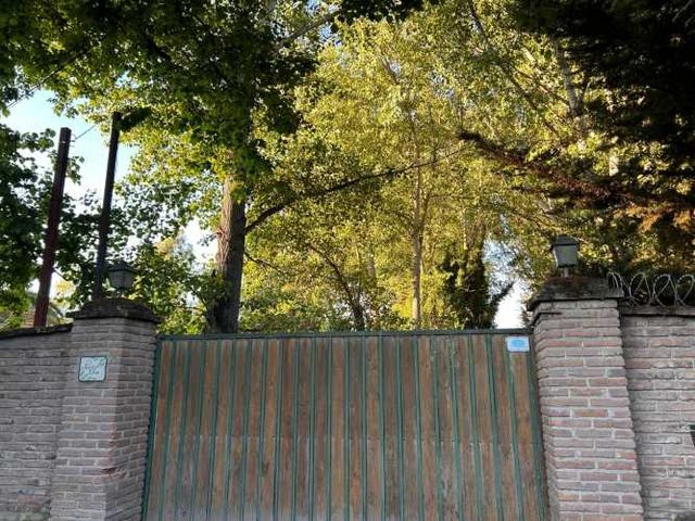 Rebajada Parcela con bosque Nativo