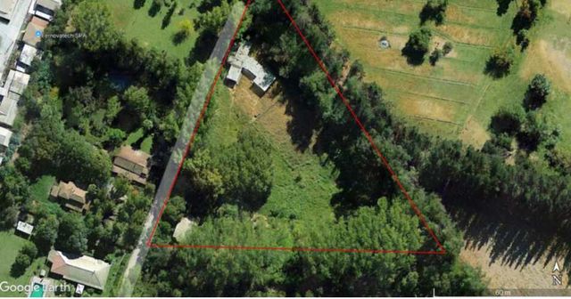 Rebajada Parcela con bosque Nativo