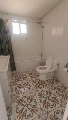 Rebajada Parcela con bosque Nativo