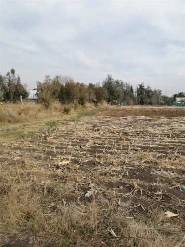 SITIO Esmeralda con Lidia Muñoz