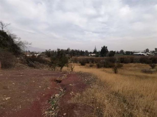 SITIO Esmeralda con Lidia Muñoz