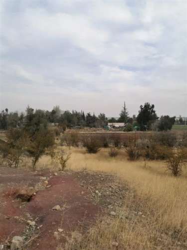 SITIO Esmeralda con Lidia Muñoz