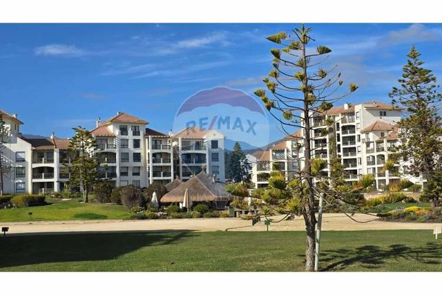 Fundadores/ punta puyai