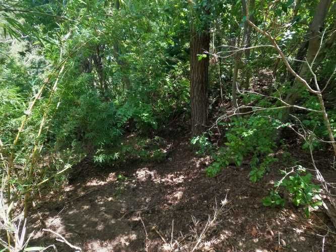 Vende Predio San Fabian, Naturaleza Plena (78894)