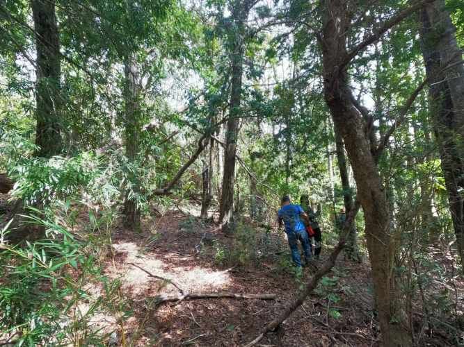 Vende Predio San Fabian, Naturaleza Plena (78894)