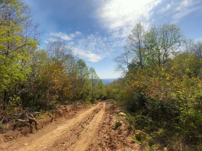 Vende Predio San Fabian, Naturaleza Plena (78894)