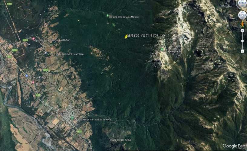 Vende Predio San Fabian, Naturaleza Plena (78894)