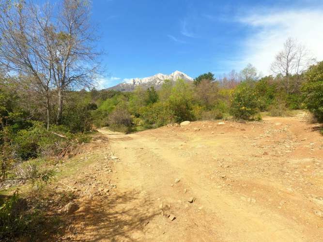 Vende Predio San Fabian, Naturaleza Plena (78894)