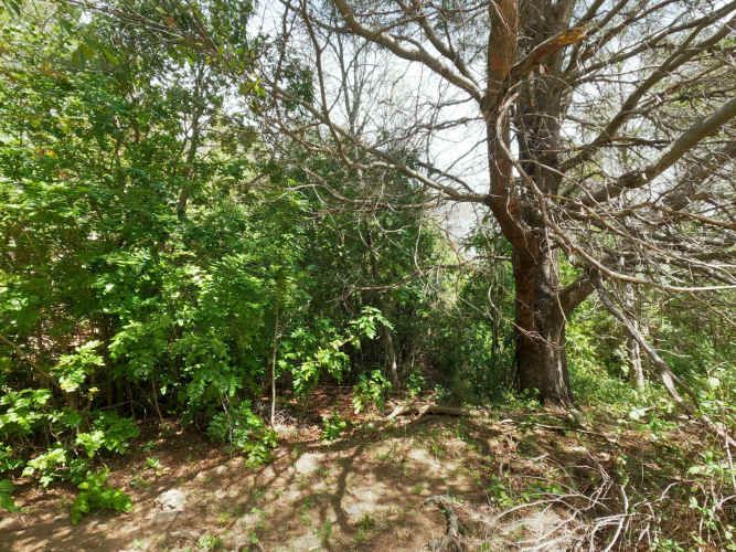 Vende Predio San Fabian, Naturaleza Plena (78894)