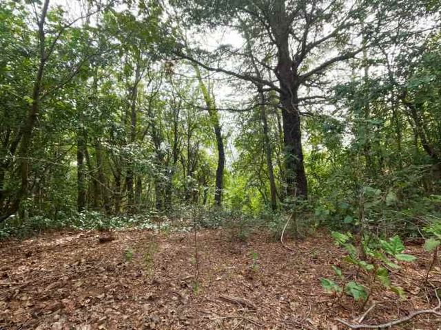 Vende Predio San Fabian, Naturaleza Plena (78894)