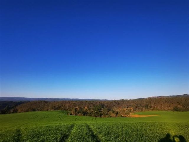 PARCELA Pichilemu sector Lo Gallardo/ Ciruelos 15 min del centro