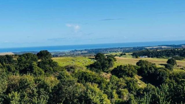 PARCELA ¡SE ACEPTAN OFERTAS!/Santo Domingo