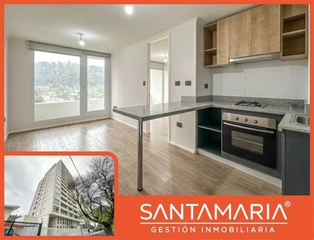 DEPARTAMENTO Collao, Concepción