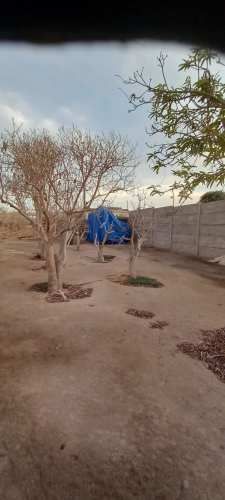 Parcela Alto Ramirez