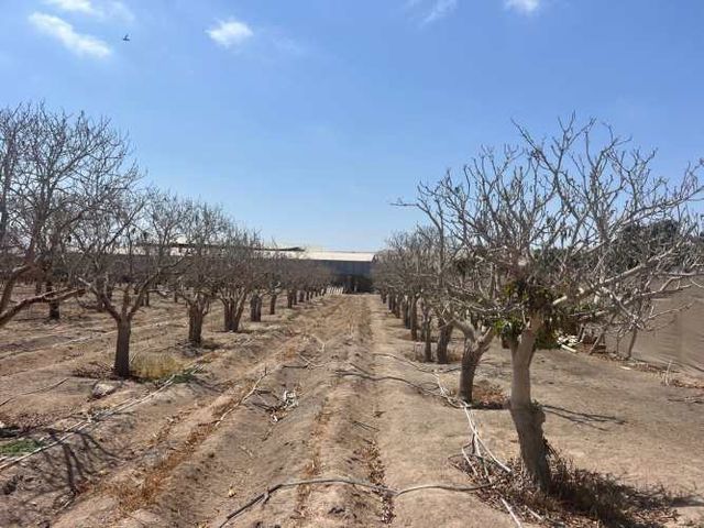 Parcela Alto Ramirez