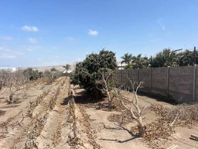 Parcela Alto Ramirez