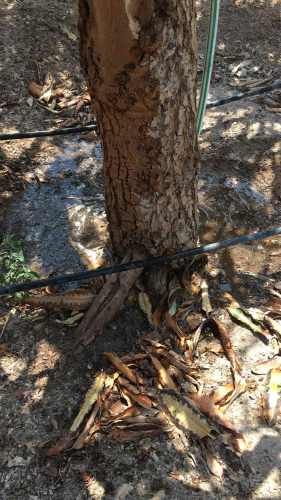 Parcela Alto Ramirez