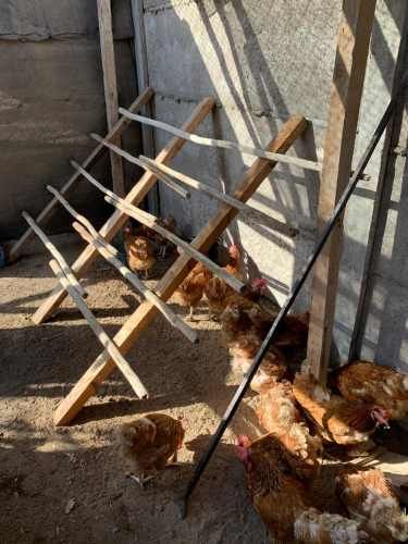 Parcela Alto Ramirez