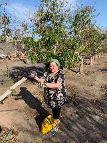 Parcela Alto Ramirez