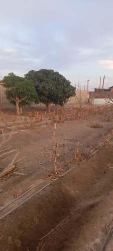 Parcela Alto Ramirez