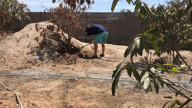 Parcela Alto Ramirez