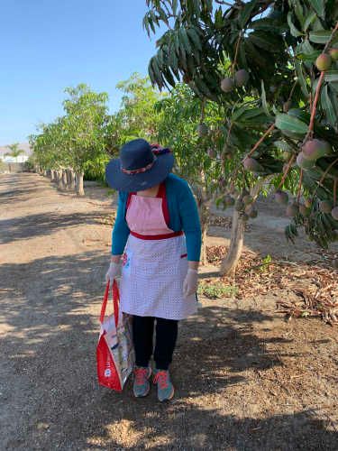 Parcela Alto Ramirez