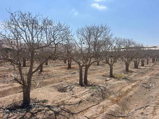 Parcela Alto Ramirez