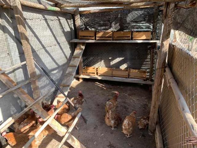 Parcela Alto Ramirez