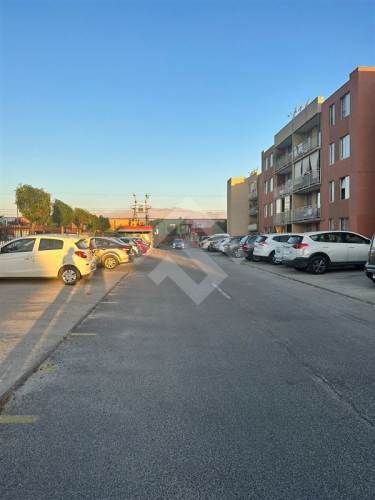 DEPARTAMENTO Las Rosas y/o Segunda Transversal